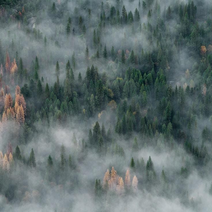 Alpine wilderness landscape